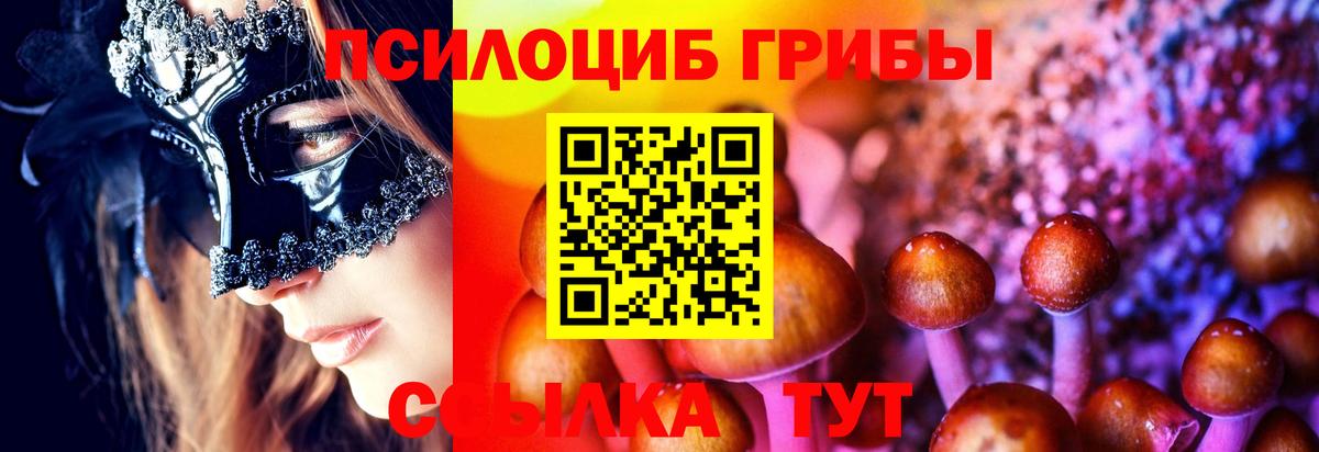 Коркино  Псилоцибиновые грибы GOLDEN TEACHER  Вход с VPN 